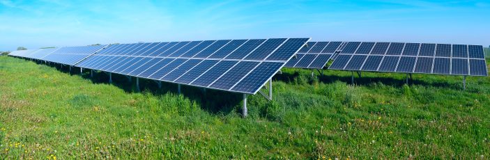 Danmarks hidtil største solcellepark står ved Kalundborg