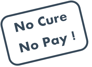 No Cure No Pay