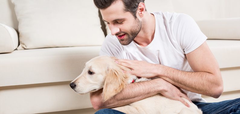 Lær selv hundemassage